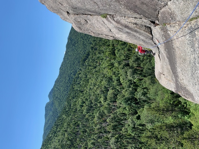 Roostercomb